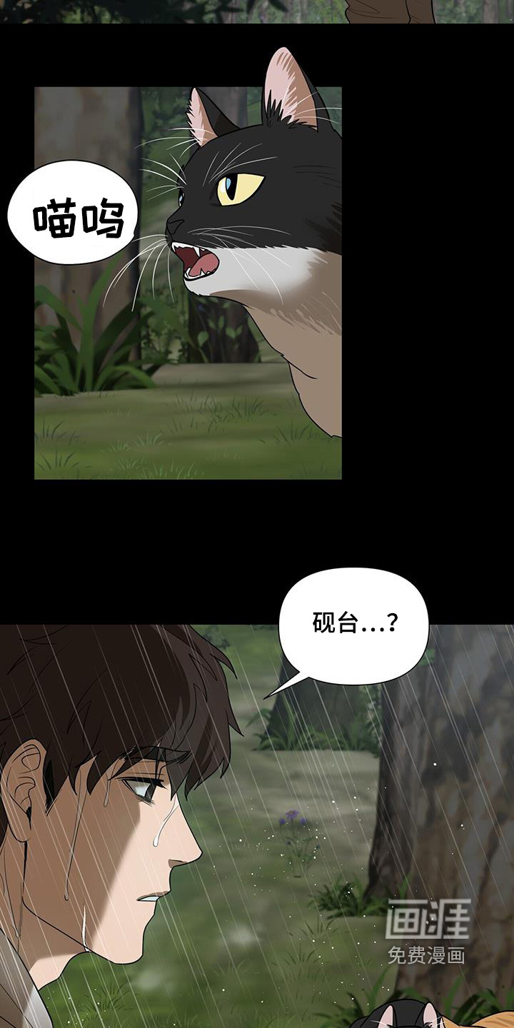 弃暗投明 第74话 第18页