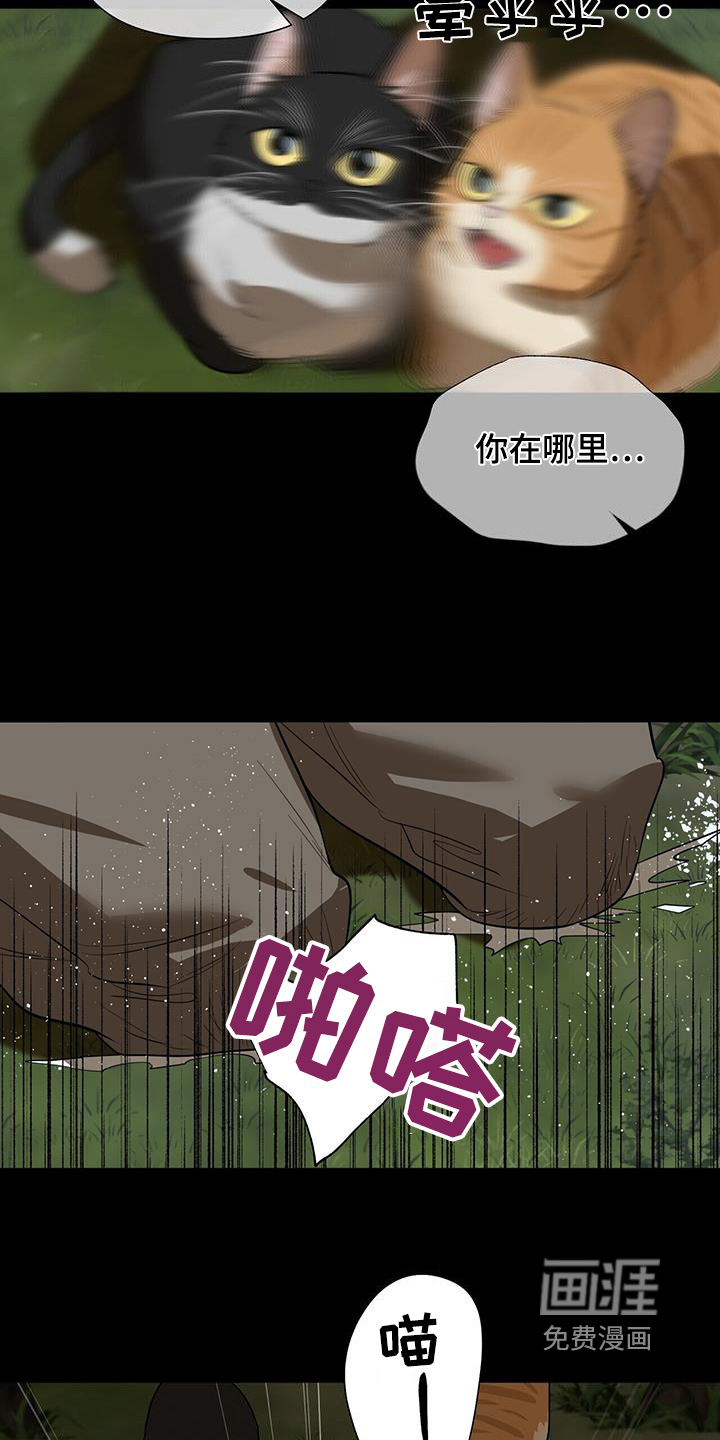 弃暗投明 第74话 第20页