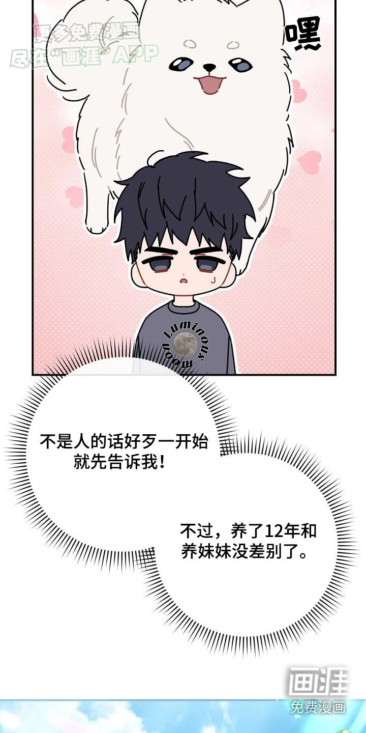 爱情系统 第85话 第21页