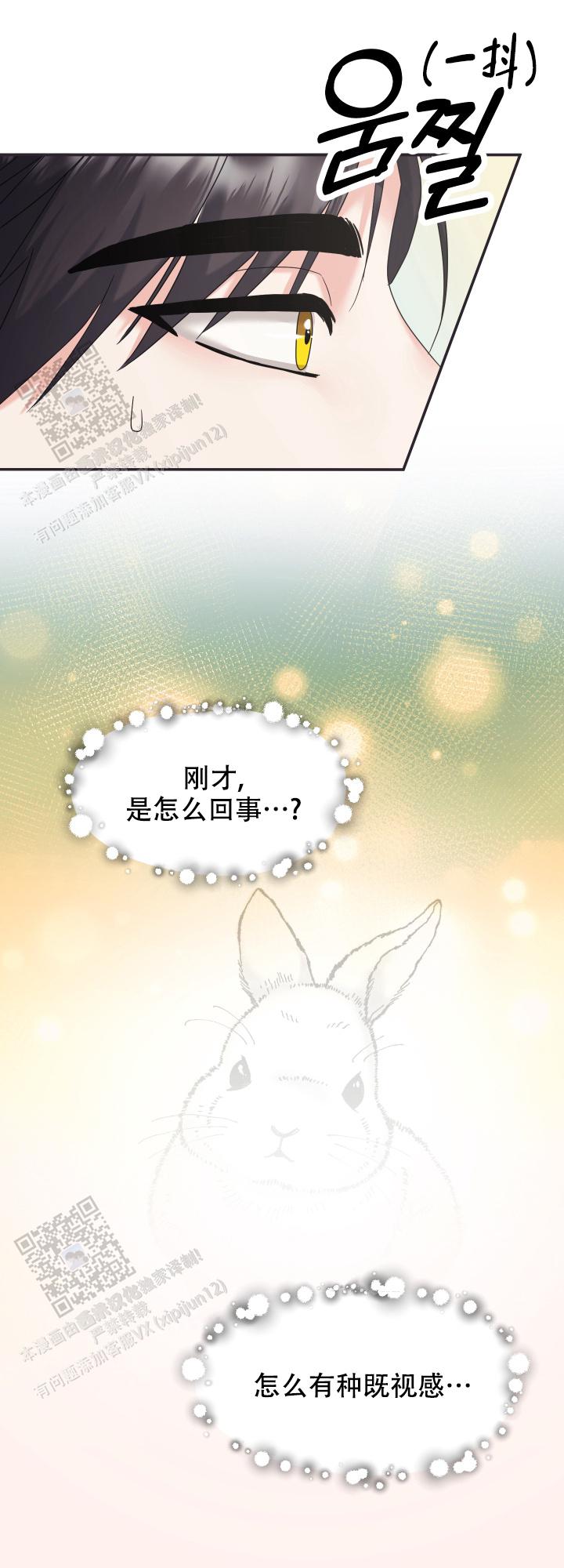 兔兔宅急送 第10话 第1页