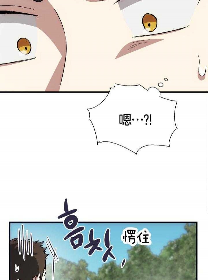 菜鸟养成记 第37话 第24页