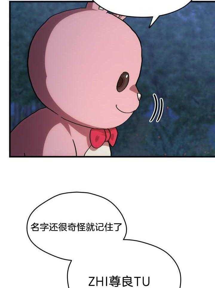 菜鸟养成记 第46话 第19页
