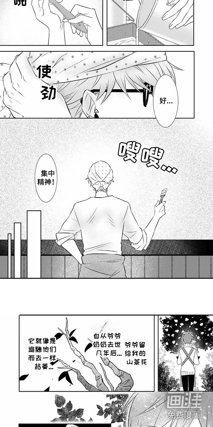 不见凋零 第13话 第5页