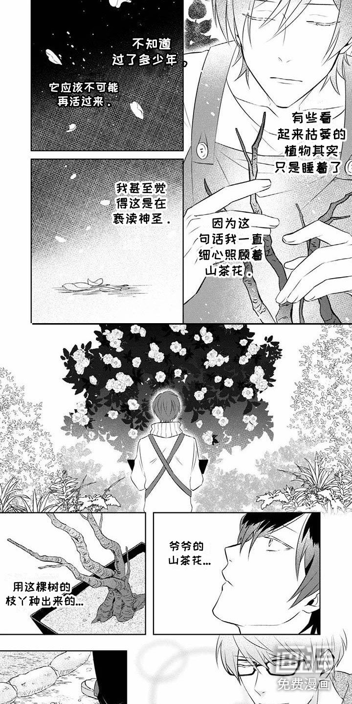 不见凋零 第13话 第6页