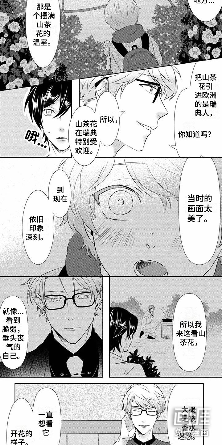 不见凋零 第4话 第4页