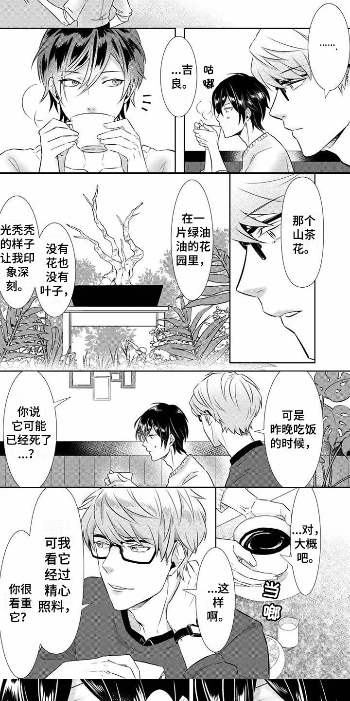 不见凋零 第3话 第8页