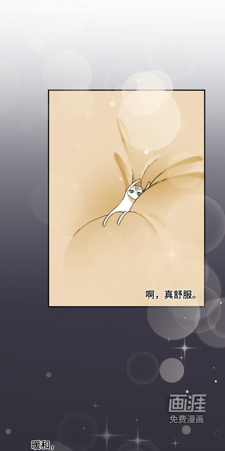 纯情夜曲 第22话 第1页