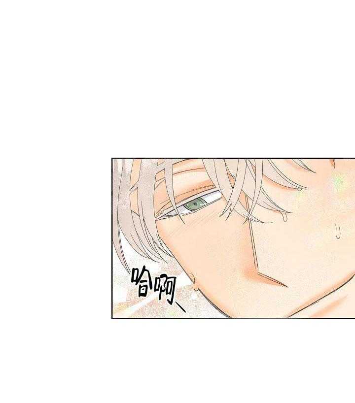 亲密测试 第35话 新伴侣 第3页