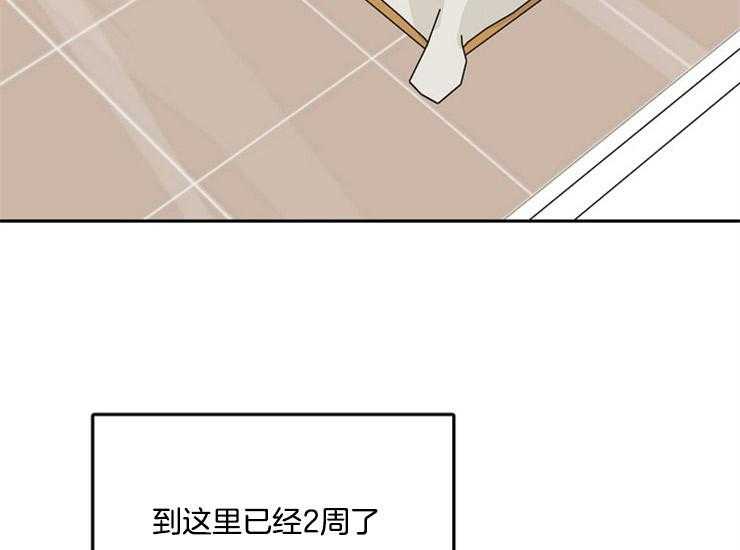 办公室伴侣（第一季） 第60话 一定要找到他 第34页