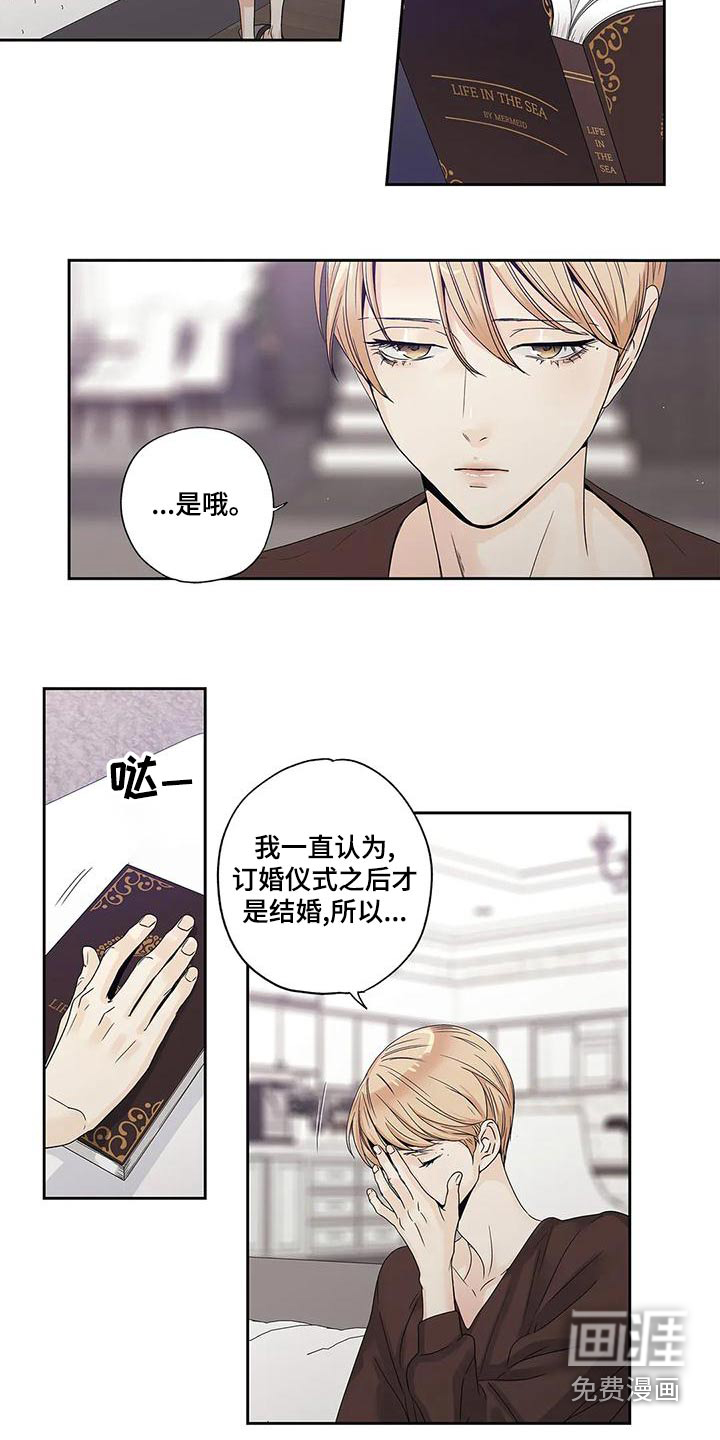 不枉此生女王篇 第46章：订婚仪式 第12页