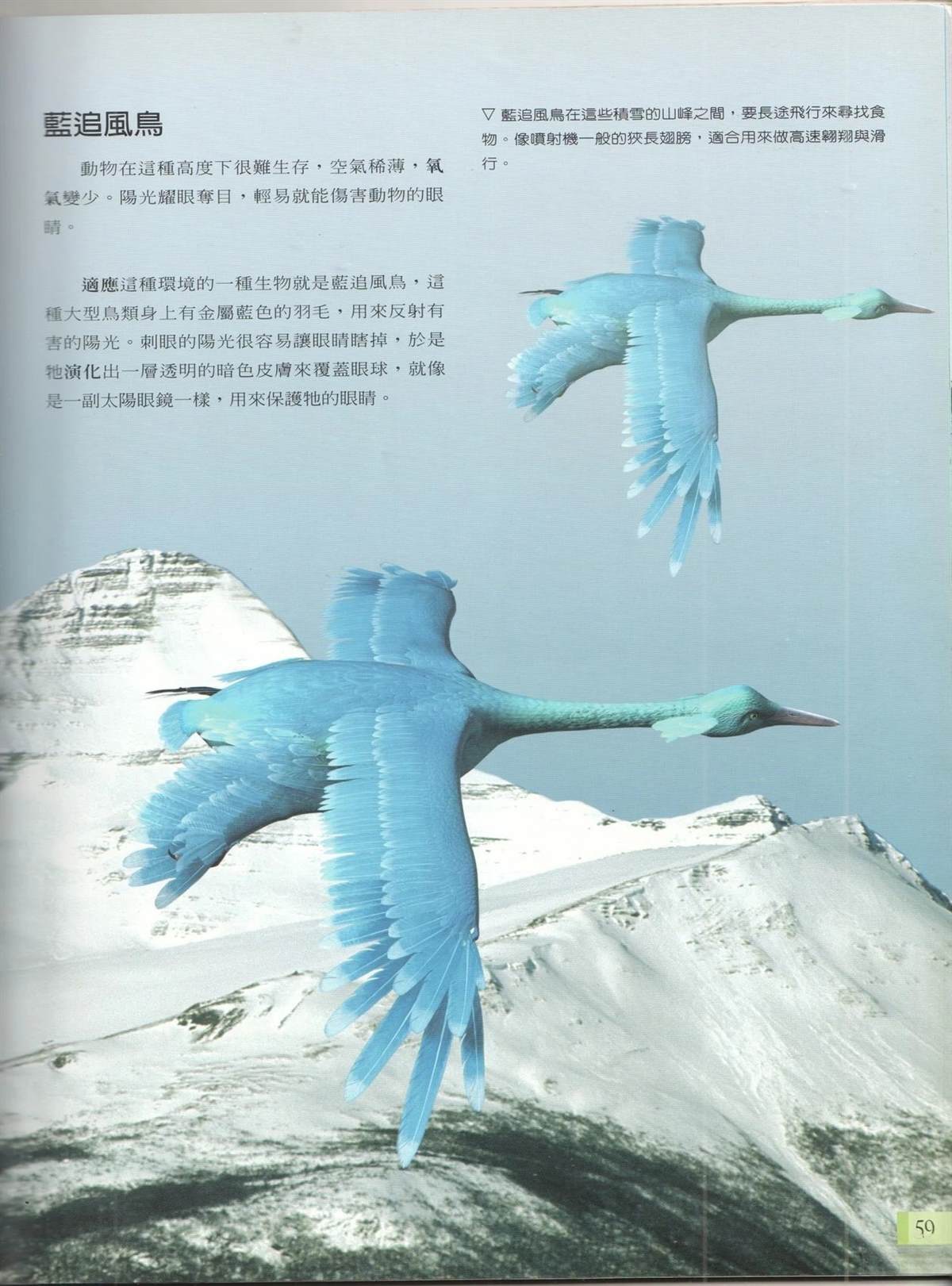 未来狂想曲 第1卷 第66页