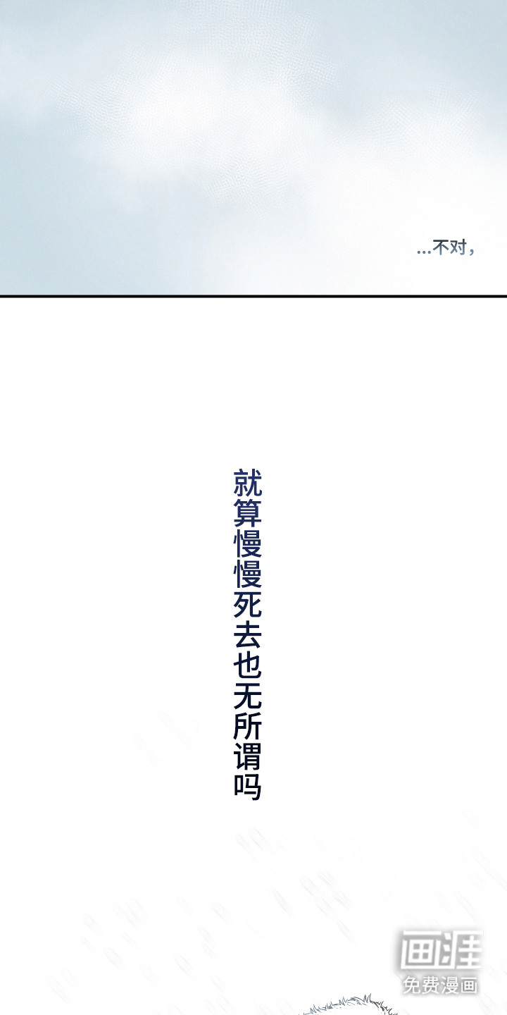 花落人未散 第1章：雪地 第16页