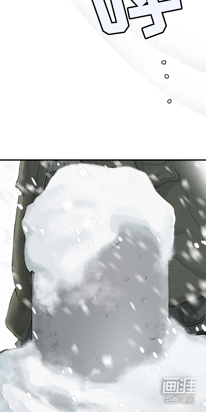 花落人未散 第1章：雪地 第3页