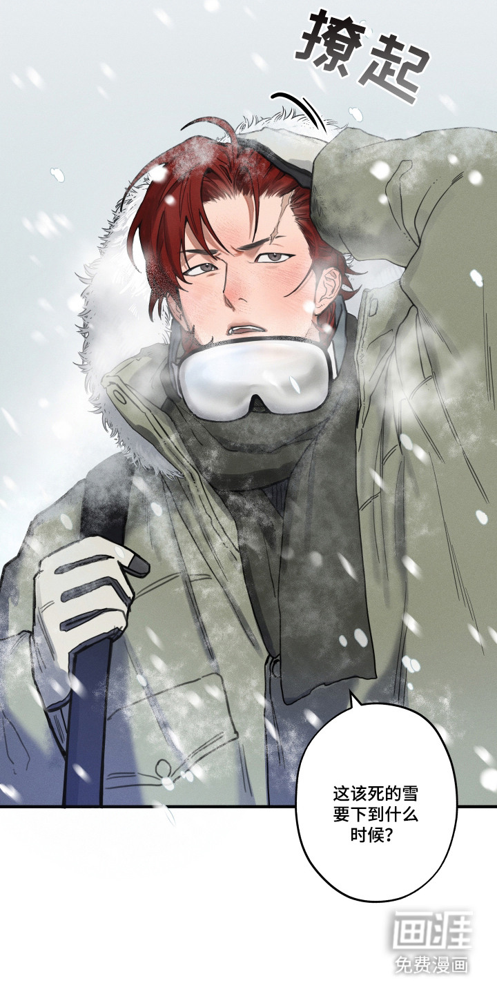 花落人未散 第1章：雪地 第6页