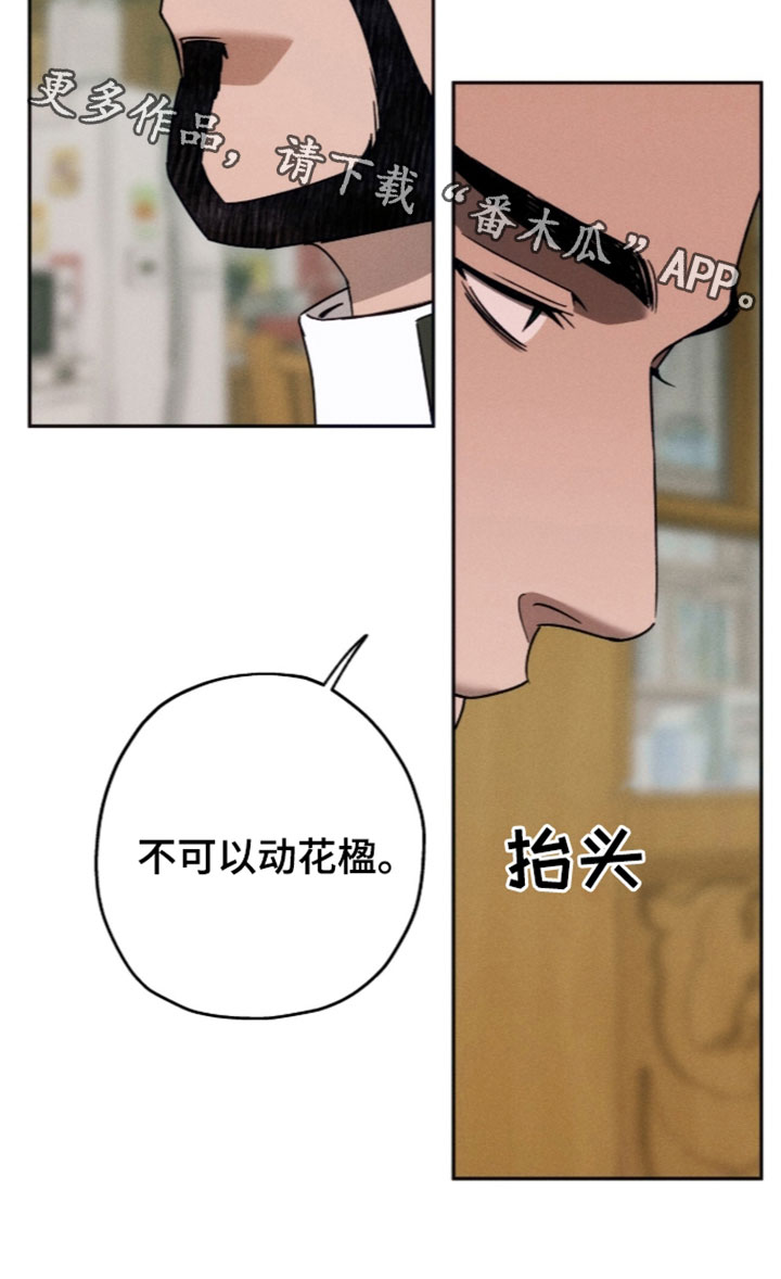 夜的奖励 第262话 第34页