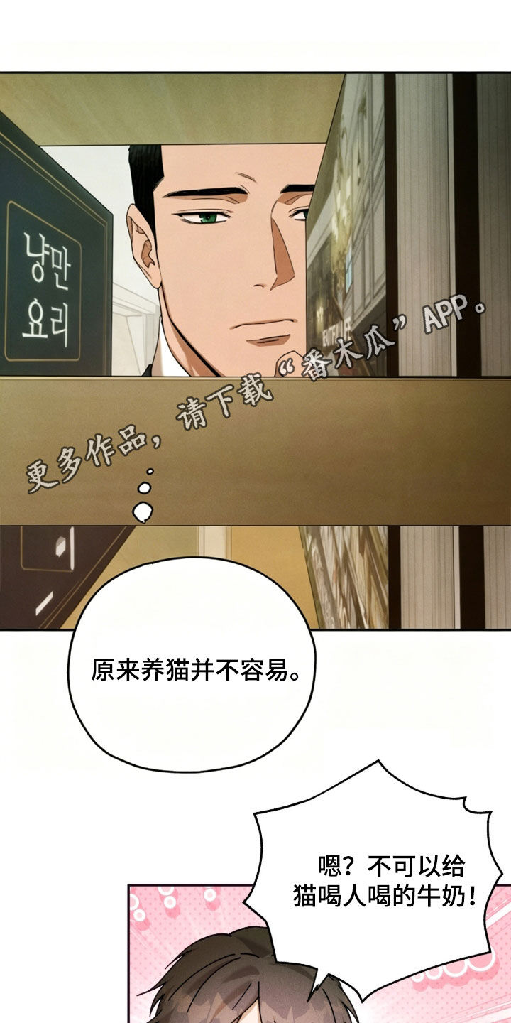 夜的奖励 第260话 第1页