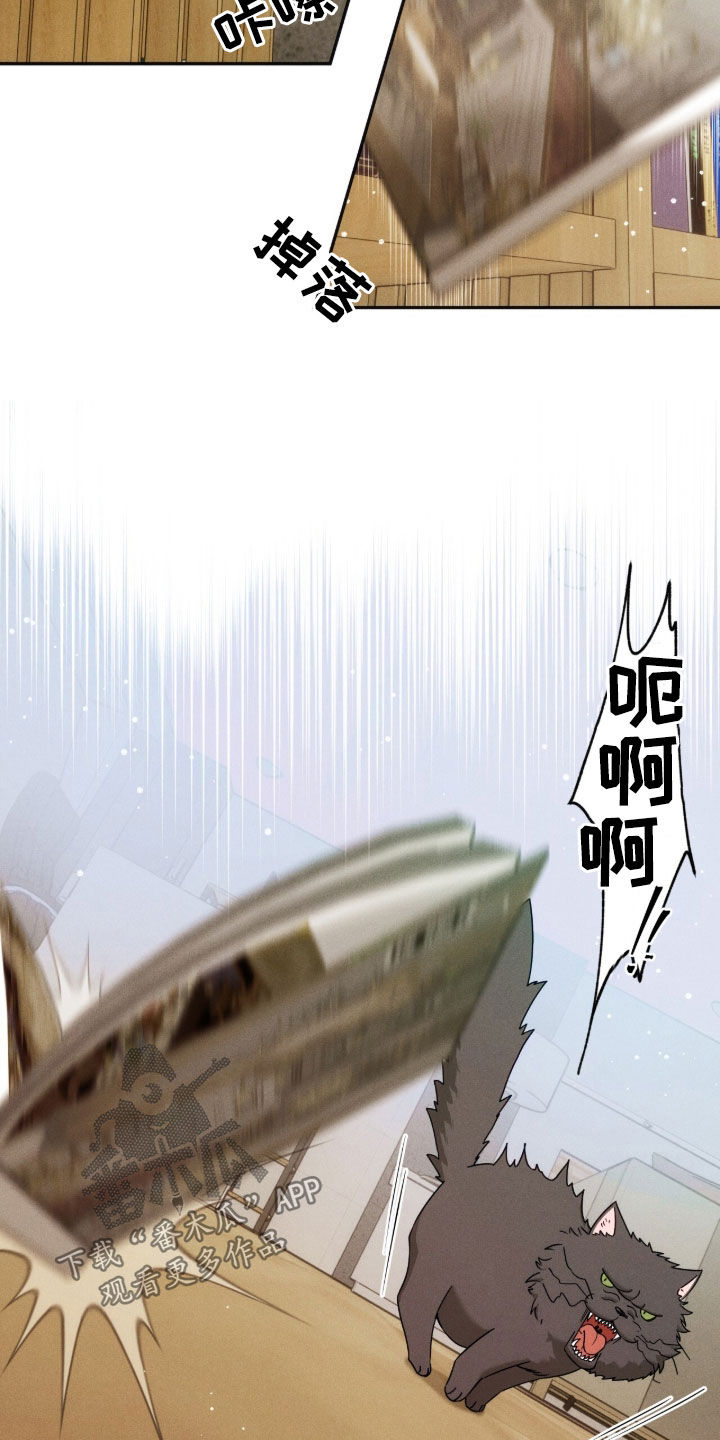 夜的奖励 第260话 第19页
