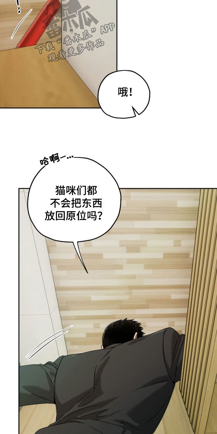夜的奖励 第260话 第3页