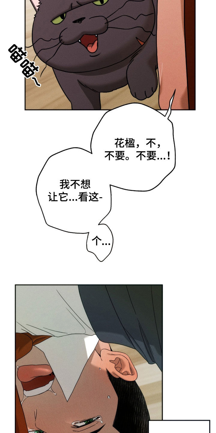 夜的奖励 第260话 第22页
