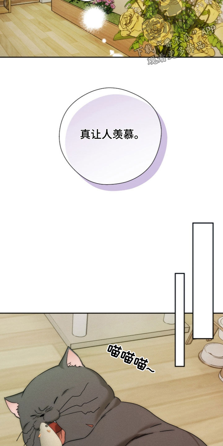 夜的奖励 第259话 第21页