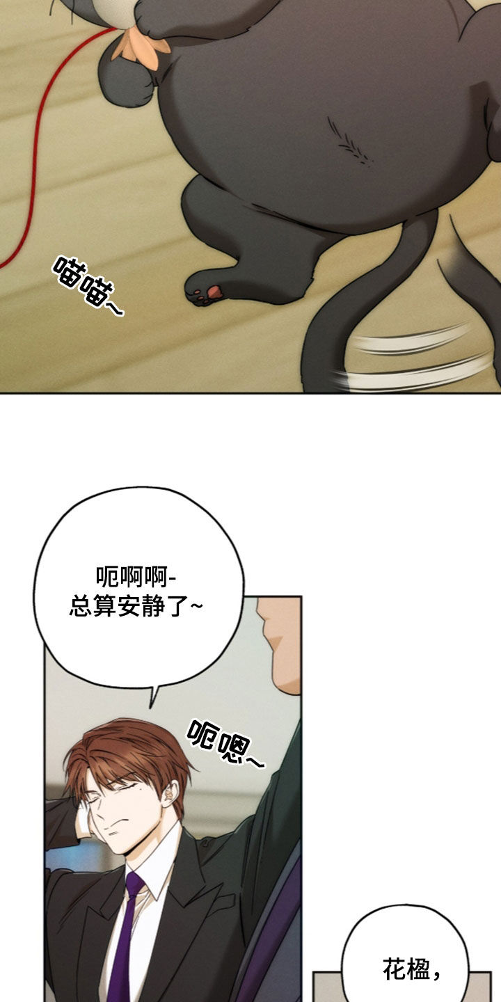 夜的奖励 第259话 第22页