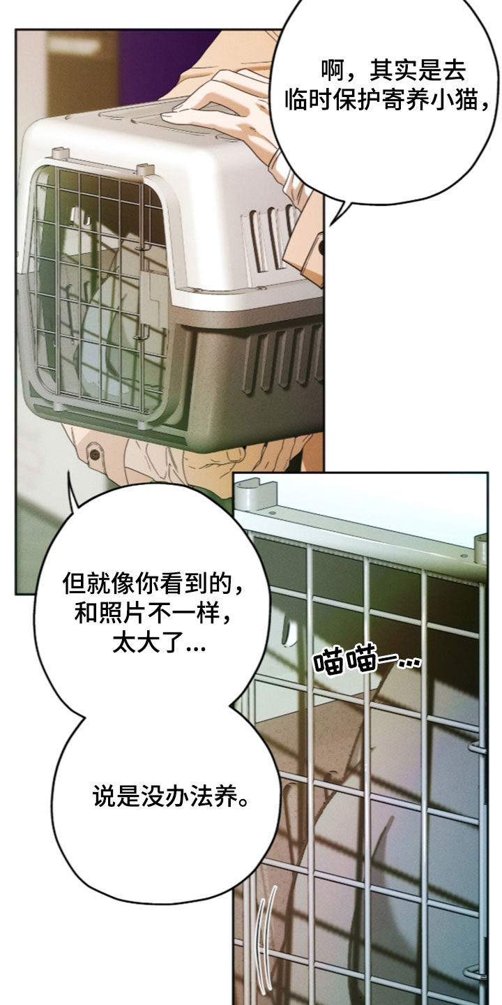 夜的奖励 第258话 第22页