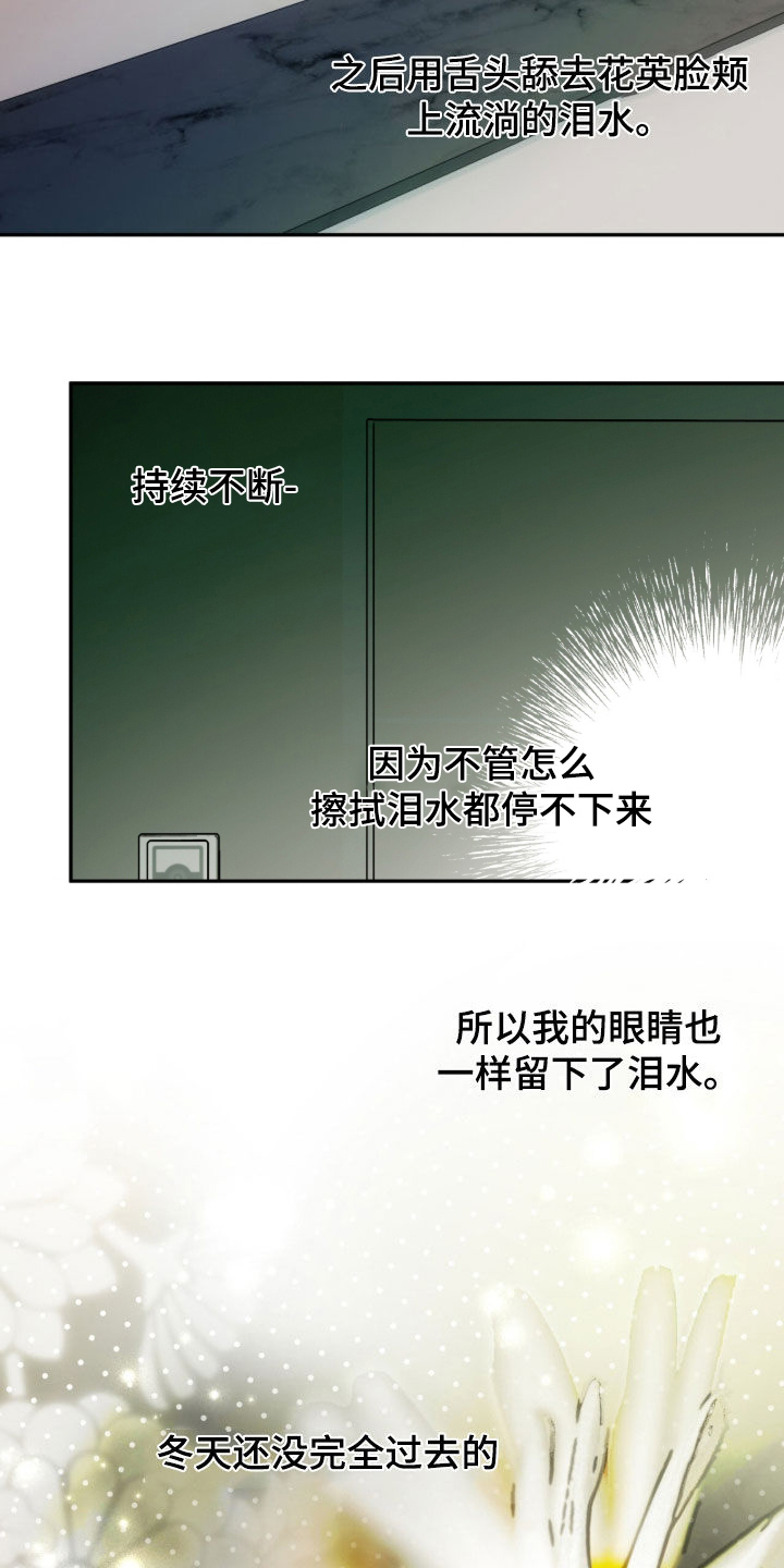 夜的奖励 第253话 第3页
