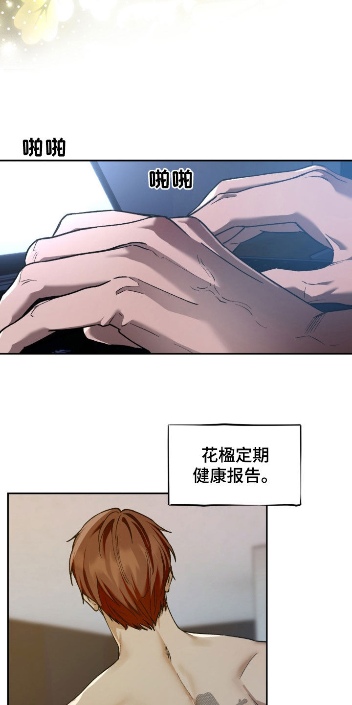 夜的奖励 第253话 第5页