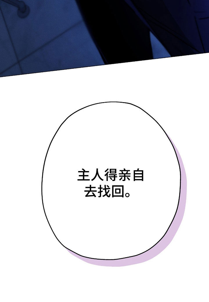 夜的奖励 第241话 第29页