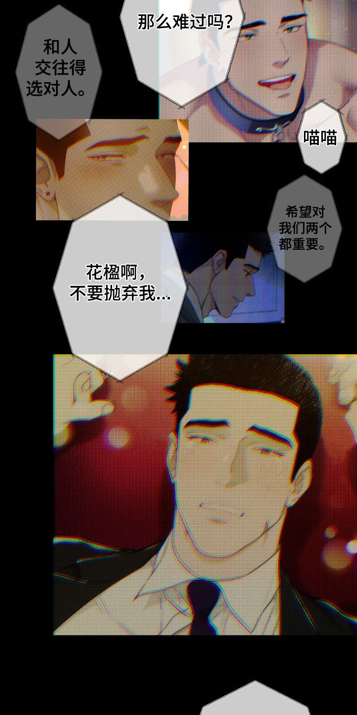 夜的奖励 第241话 第5页