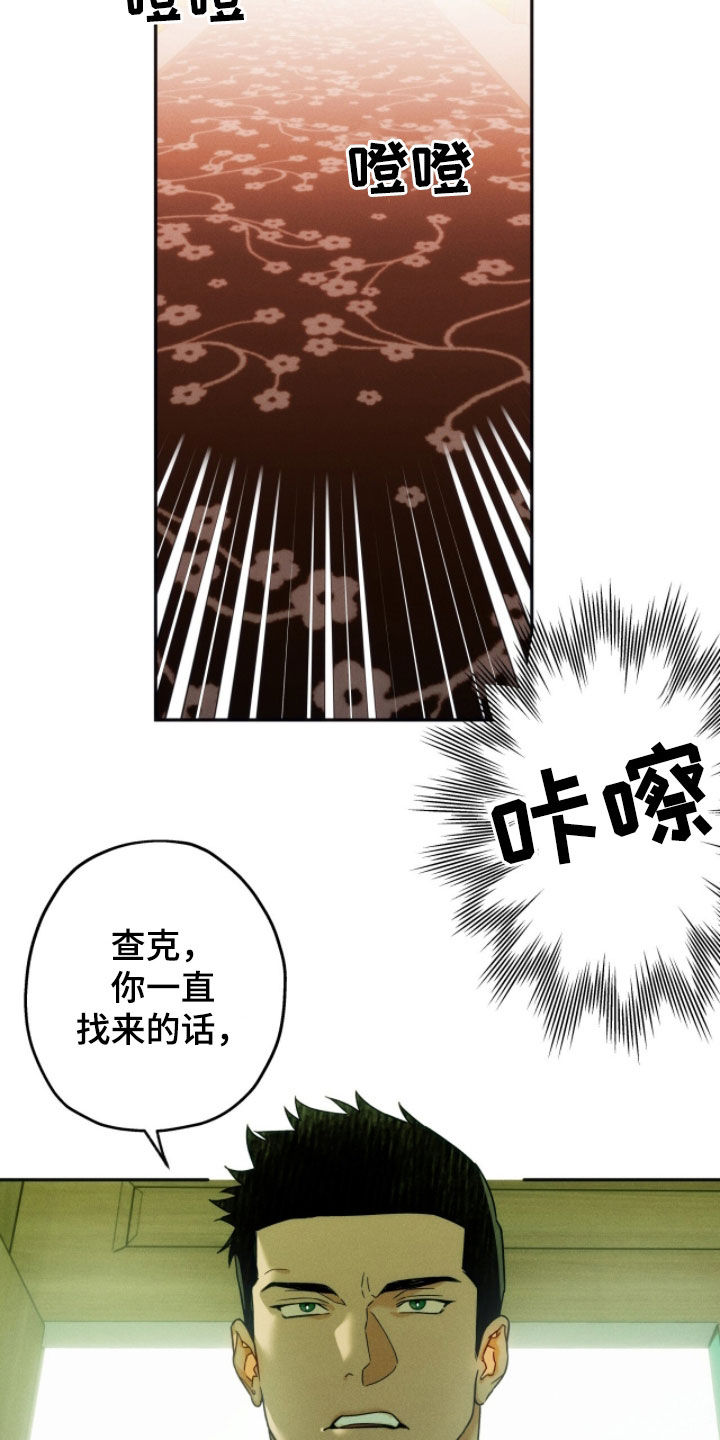 夜的奖励 第233话 第13页