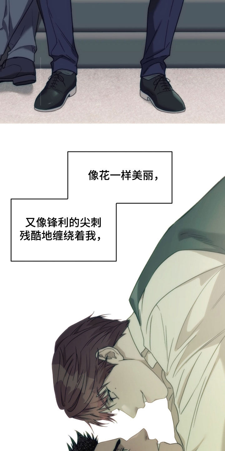 夜的奖励 第222话 第27页