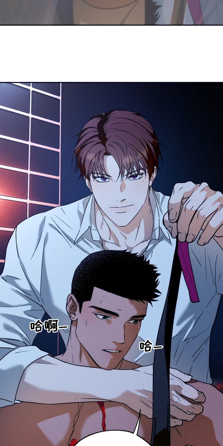 夜的奖励 第211话 第13页