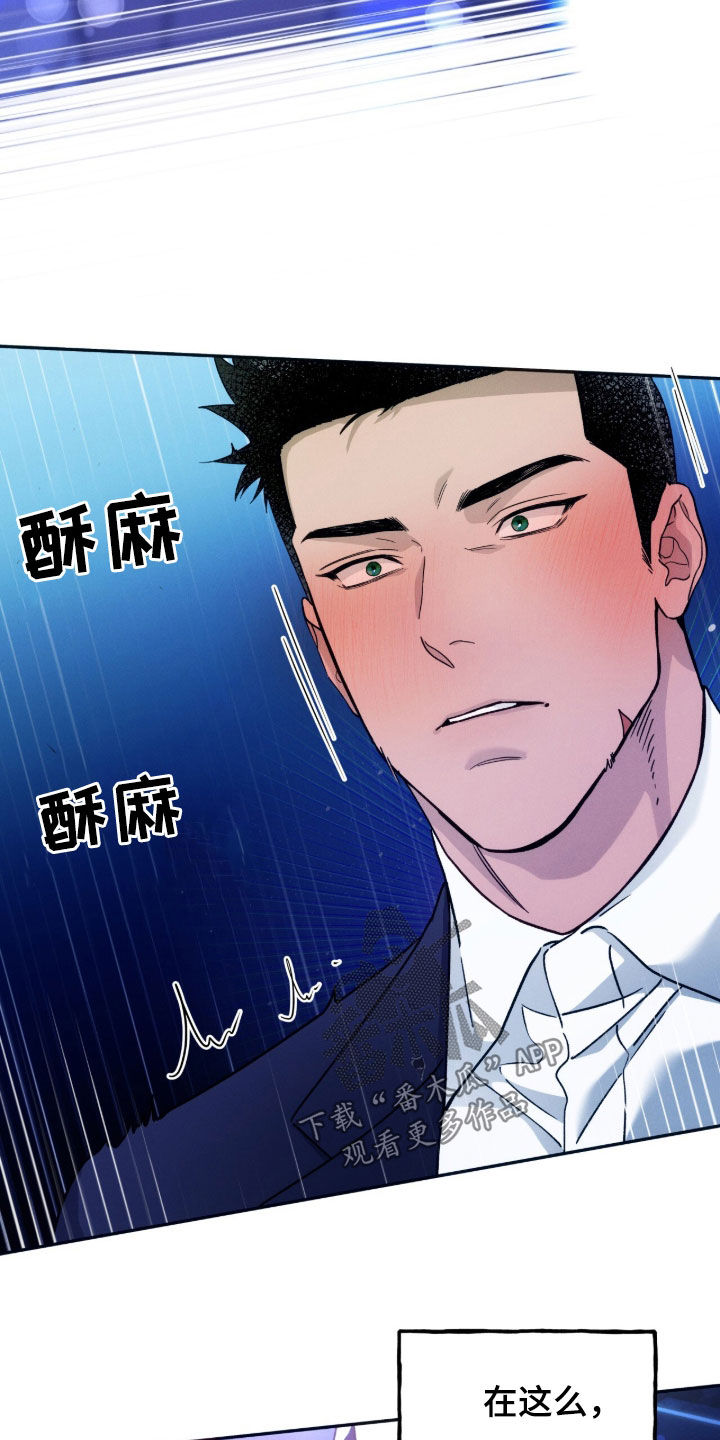 夜的奖励 第204话 第11页