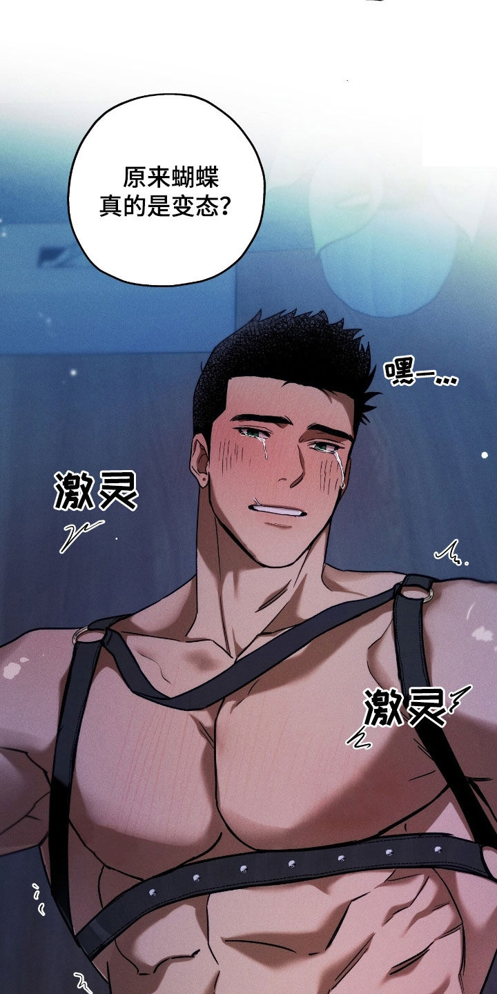 夜的奖励 第203话 第2页