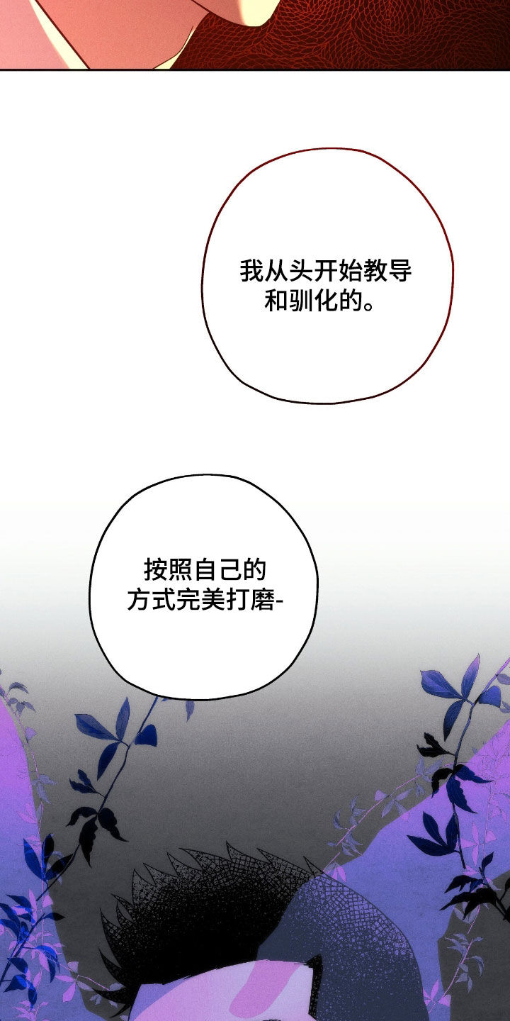 夜的奖励 第196话 第16页