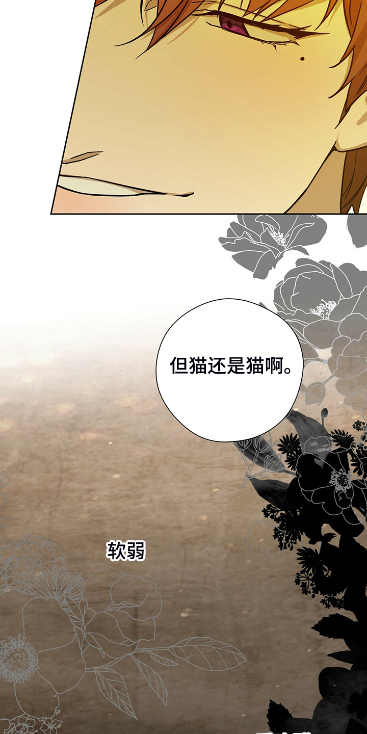 夜的奖励 第113话 第18页