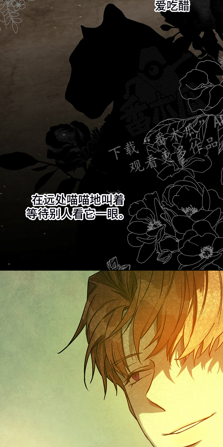 夜的奖励 第113话 第19页
