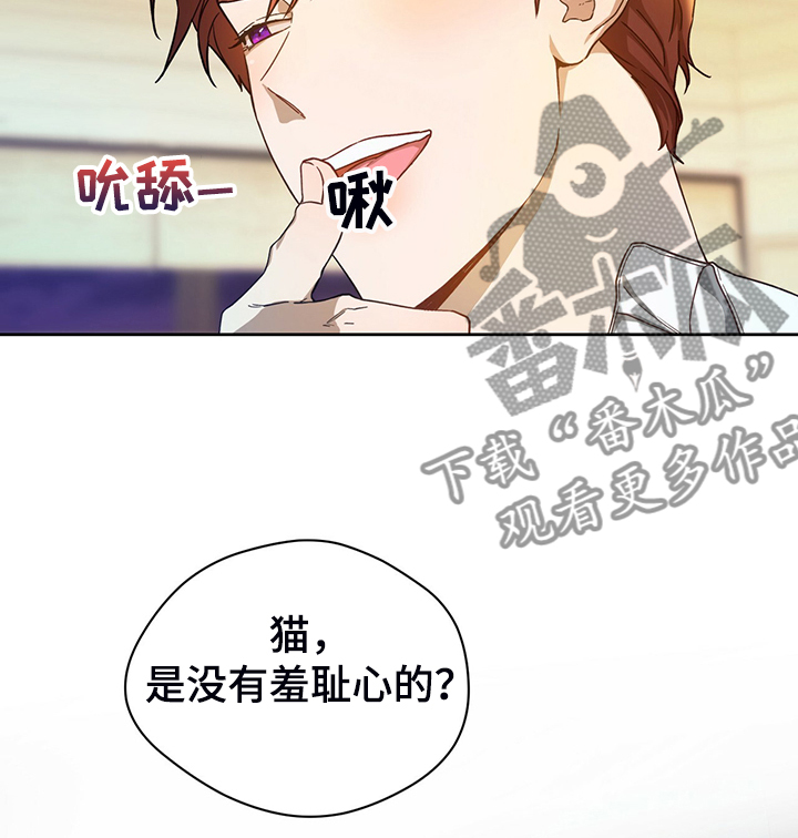 夜的奖励 第113话 第28页