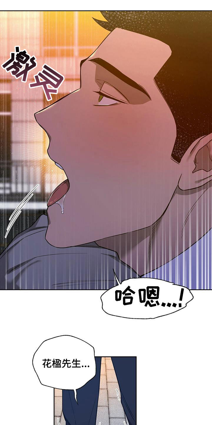 夜的奖励 第102话 第19页