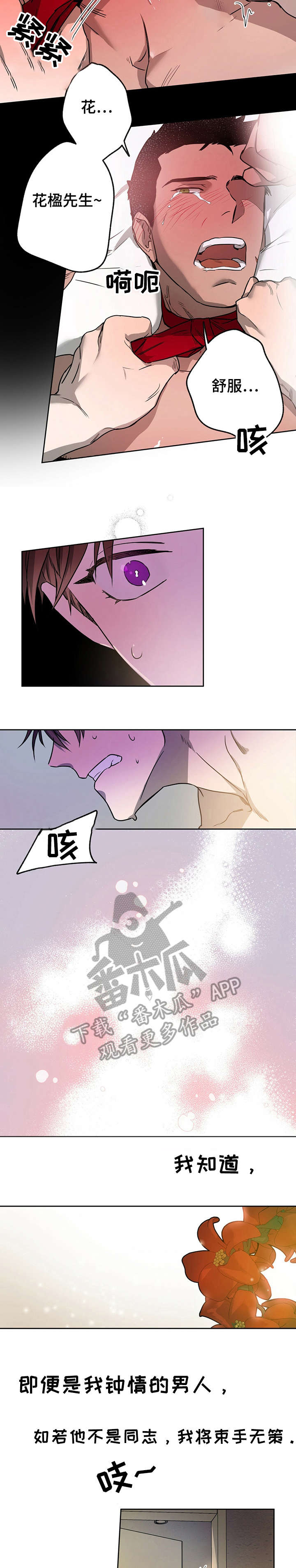 夜的奖励 第12话 第5页