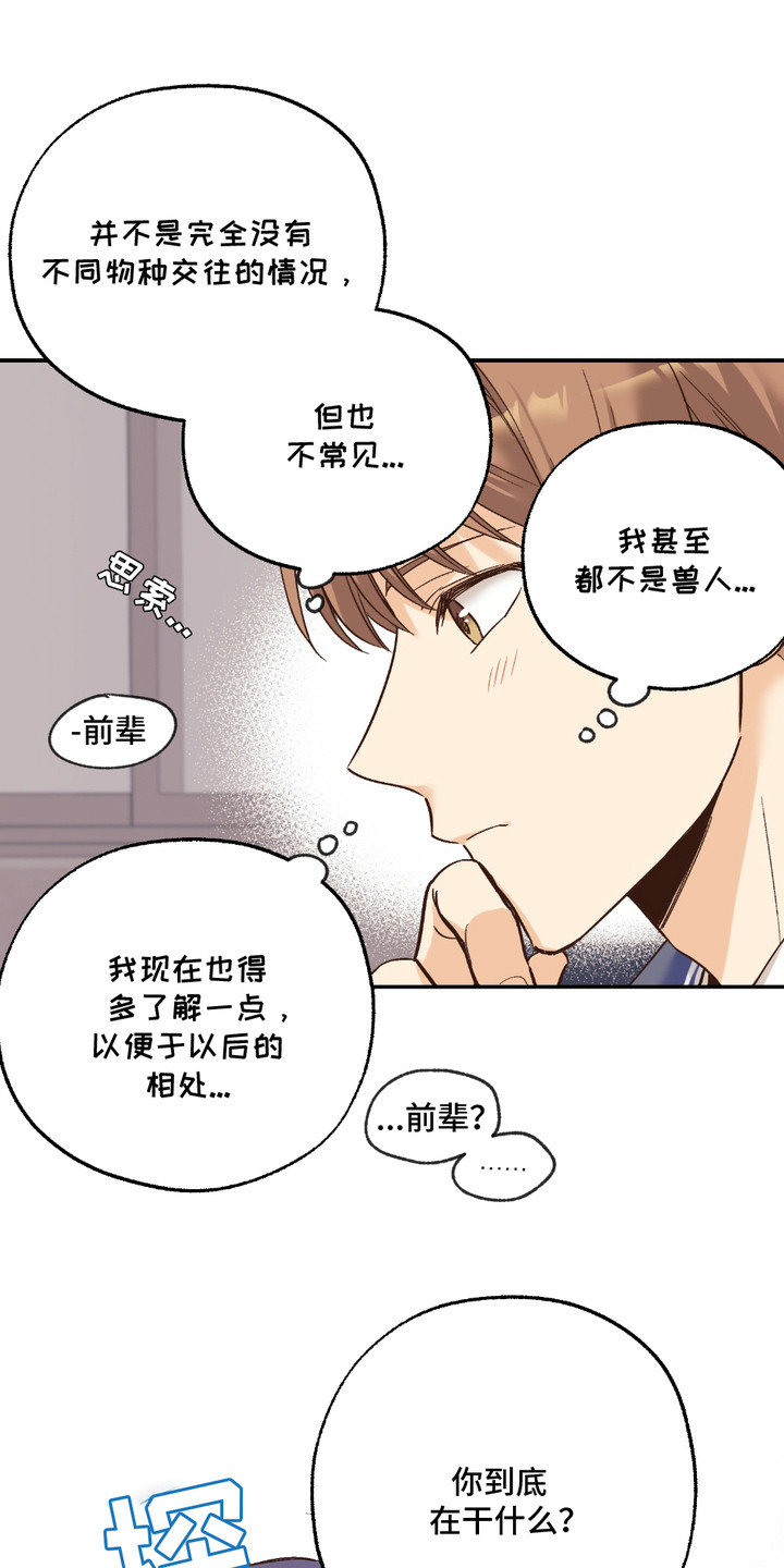 我的猛兽伴侣 第17话 第12页