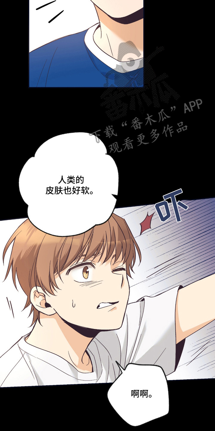 我的猛兽伴侣 第9话 第2页
