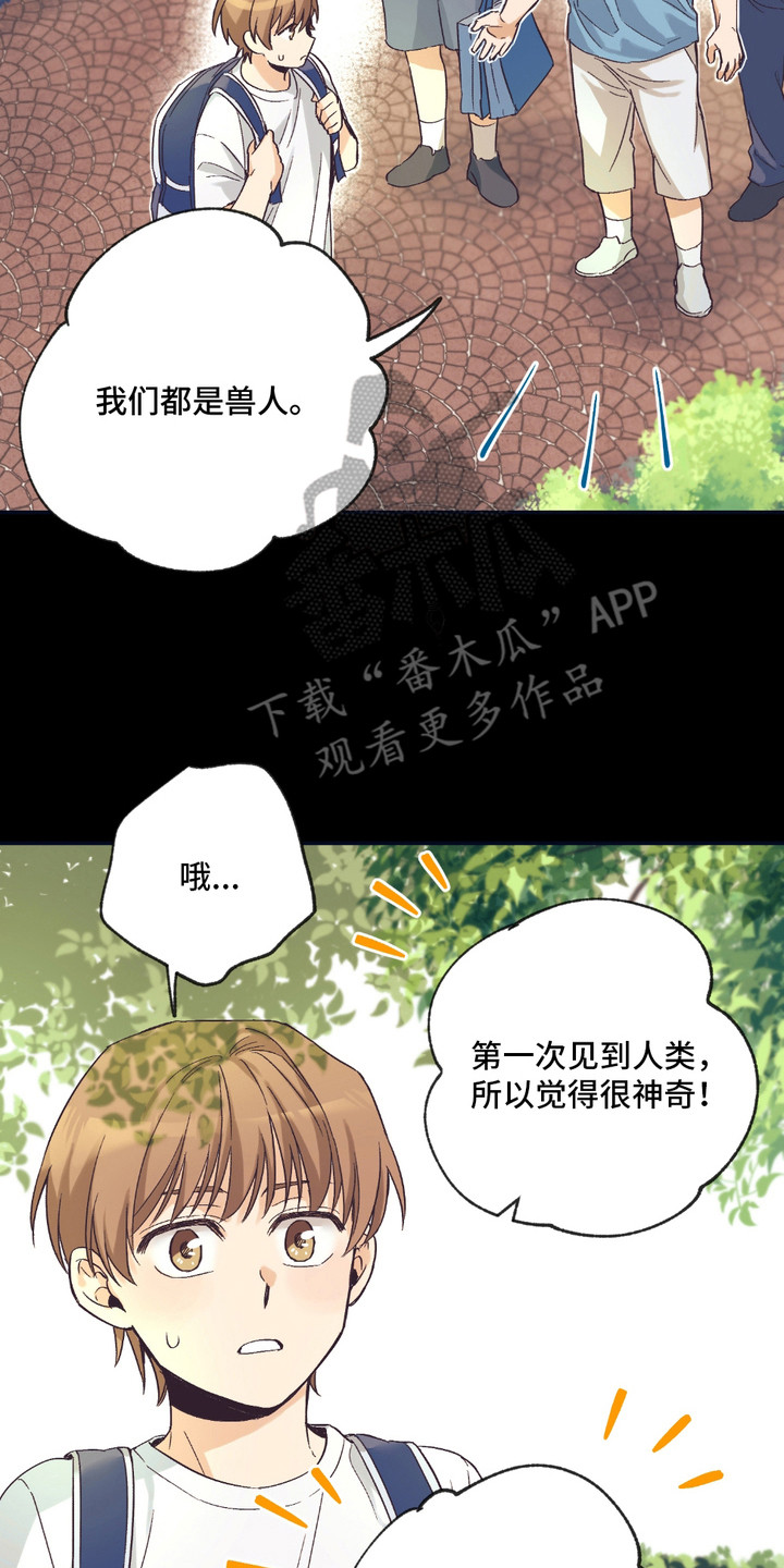 我的猛兽伴侣 第8话 第14页