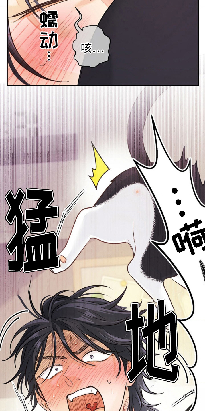 武赫的罗衣 第82话 第5页