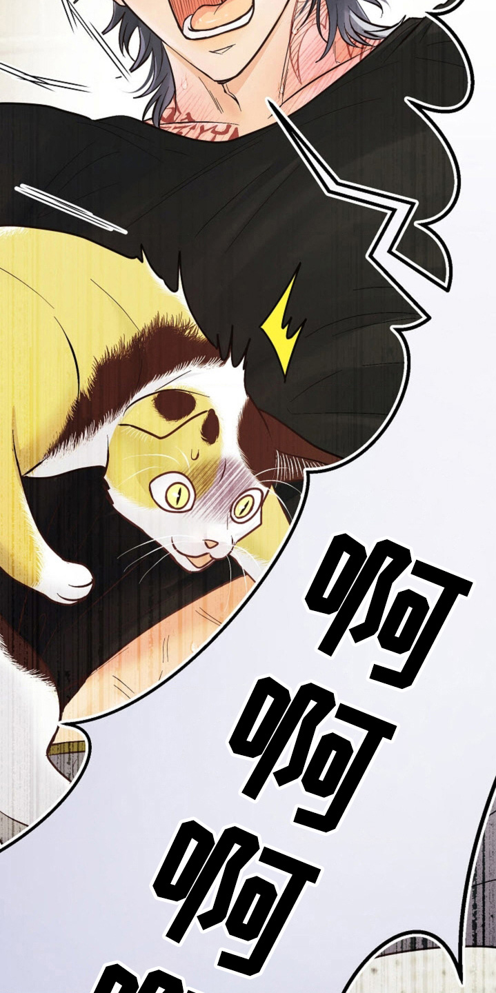武赫的罗衣 第82话 第6页