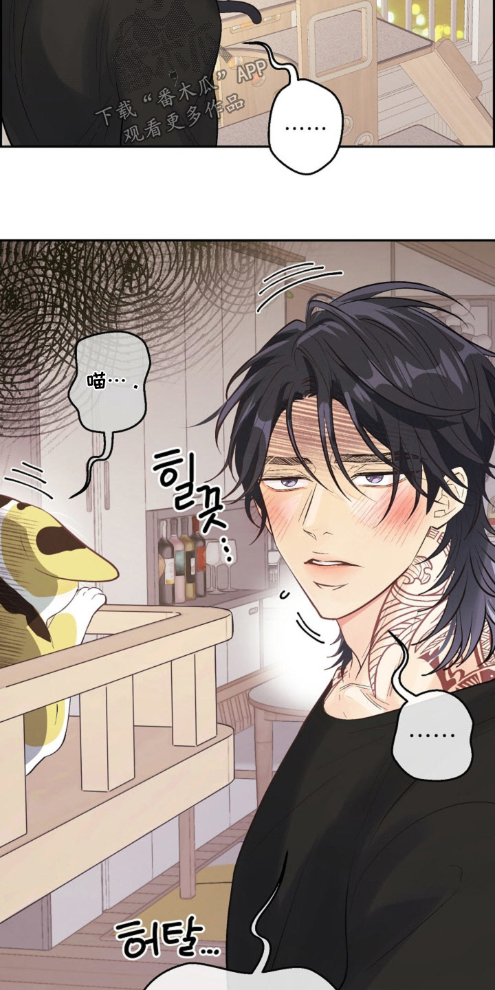 武赫的罗衣 第80话 第11页