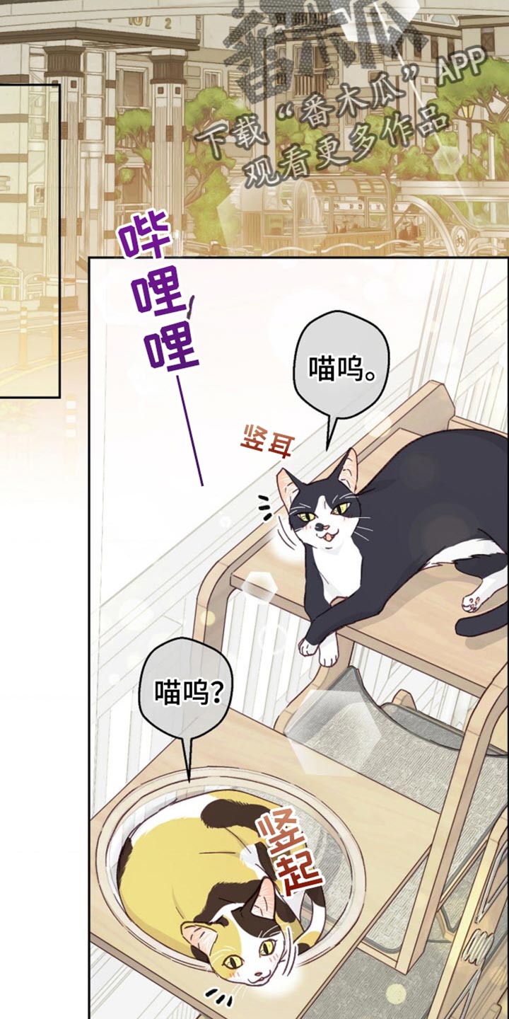 武赫的罗衣 第72话 第26页