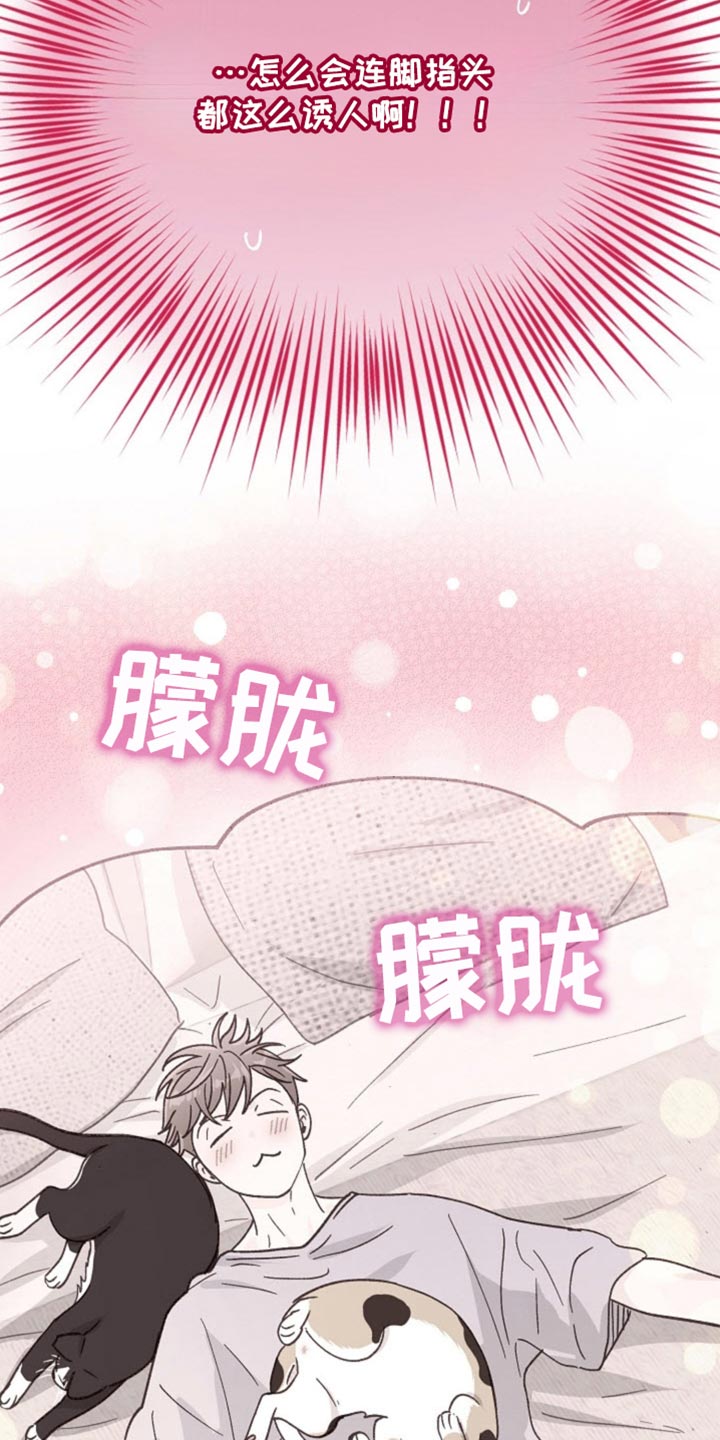 武赫的罗衣 第70话 第7页