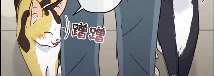 武赫的罗衣 第67话 第20页